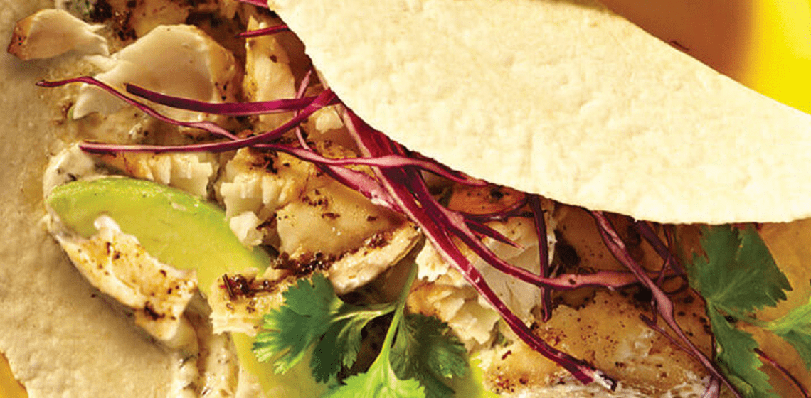 Grilled tilapia taco on a plate
