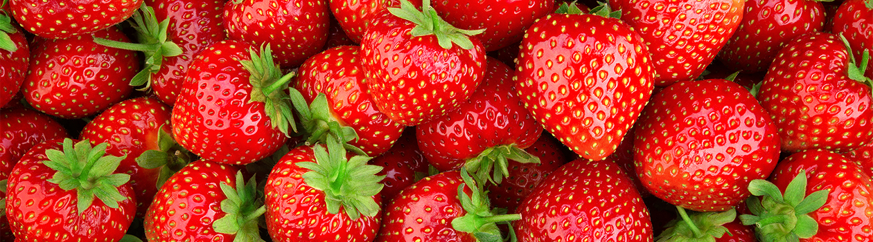 Close-up of fresh strawberries